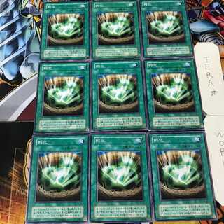 孵化 TB 2期ver 3 ノーマル 9枚セット てら