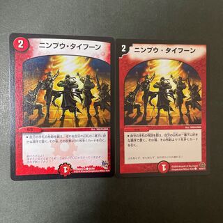 ニンプウ・タイフーン C 50/59