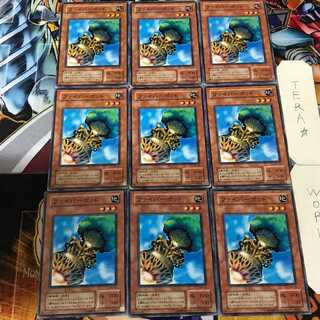 Fiber Jar MA 2nd period ver 3 Normal 9 pieces Tera