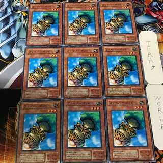 Fiber Jar MA 2nd period ver 5 normal, set of 9 Tera