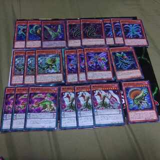 捕食植物　デッキパーツ　プレデタープランツ　スターヴ　フュージョンドラゴン　ドラゴスタペリア　は行　植物族