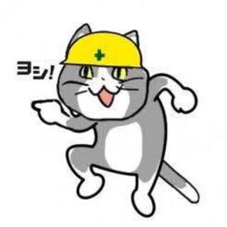 専用 ラプラスVMAX 1枚