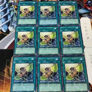 休息する剣闘獣 GLAS 5 レア 9枚セット てら