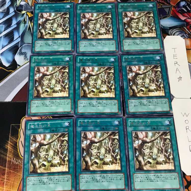 Secret Village of the Spellcasters CSOC 5 rare, set of 9 Tera.