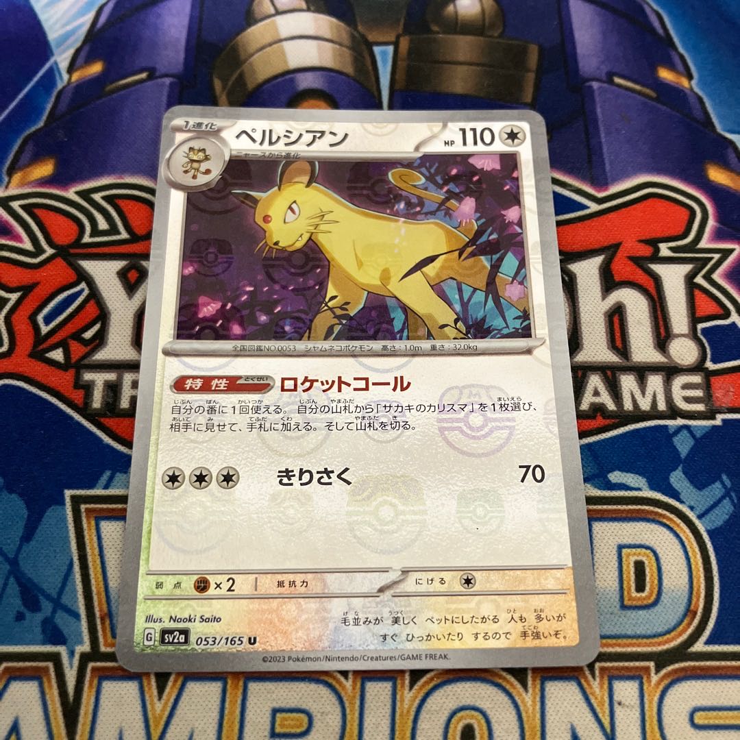 Persian (Master Ball pattern/mirror) U 053/165