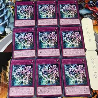 ペンデュラム・ディメンション DP23 5 レア 9枚セット てら