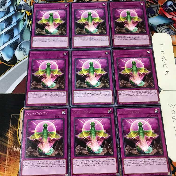 ワン・バイ・ワン LIOV 5 レア 9枚セット てら