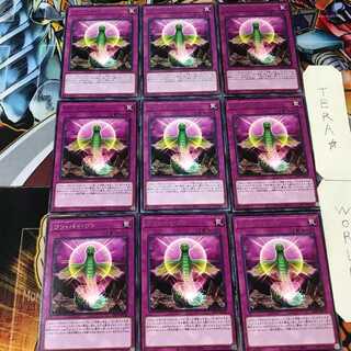 ワン・バイ・ワン LIOV 5 レア 9枚セット てら