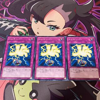 エレキーパー ノーマル JP074