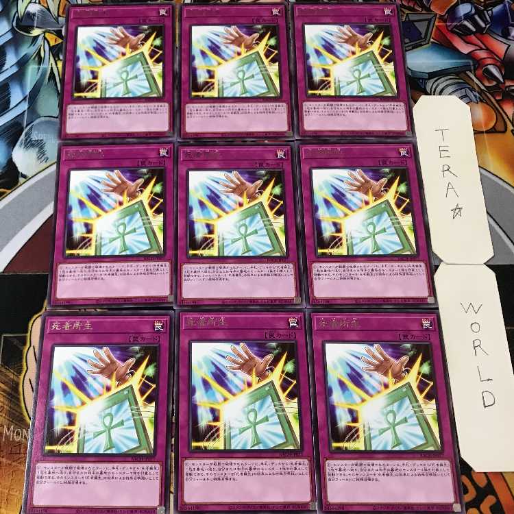 死者所生 BACH 5 レア 9枚セット てら