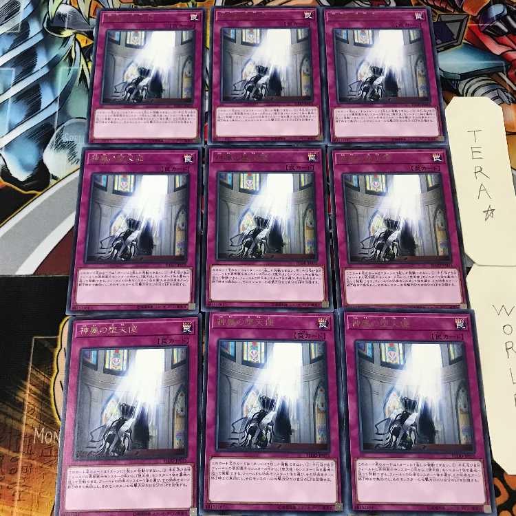 神属の堕天使 FLOD 3 レア 9枚セット てら