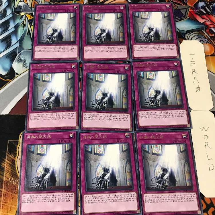 The Sanctified Darklord FLOD 5 rare, set of 9, Tera.