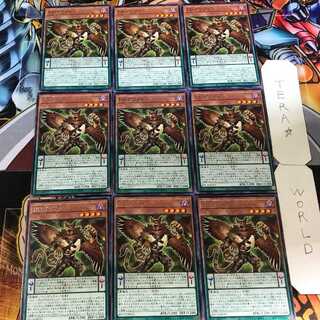 DDグリフォン BACH 5 レア 9枚セット てら