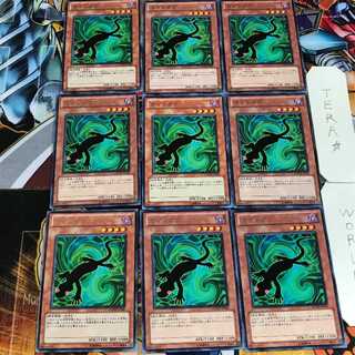 カゲトカゲ PHSW 5 レア 9枚セット てら