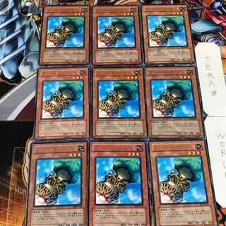 ファイバーポッド BE2 3 レア 9枚セット てら