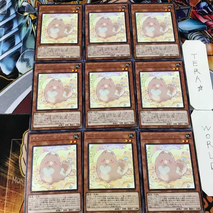 メルフィー・パピィ ROTD 5 レア 9枚セット てら