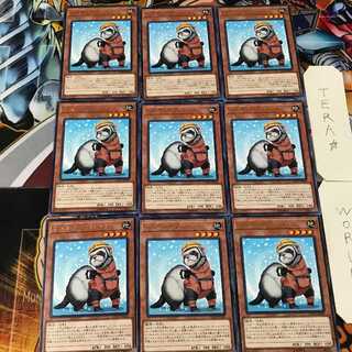 Rescue Ferret COTD 4 Rare Set of 9 Tera.