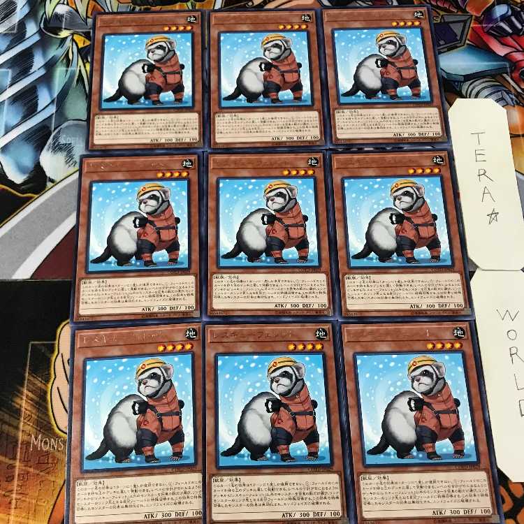 Rescue Ferret COTD 5 Rare Set of 9 Tera.