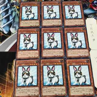 Rescue Rabbit PHSW 4 rare, set of 9 Tera.