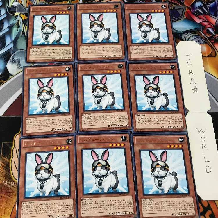 Rescue Rabbit PHSW 5 rare, set of 9 tera