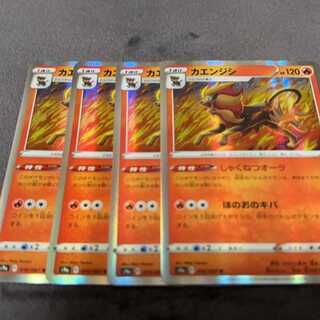 カエンジシ R 016/067