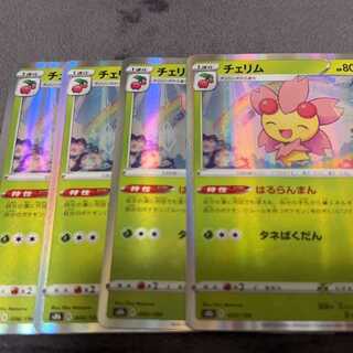 チェリム(R仕様) 006/184