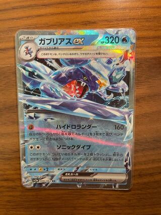 Garchompex RR 006/062 1枚