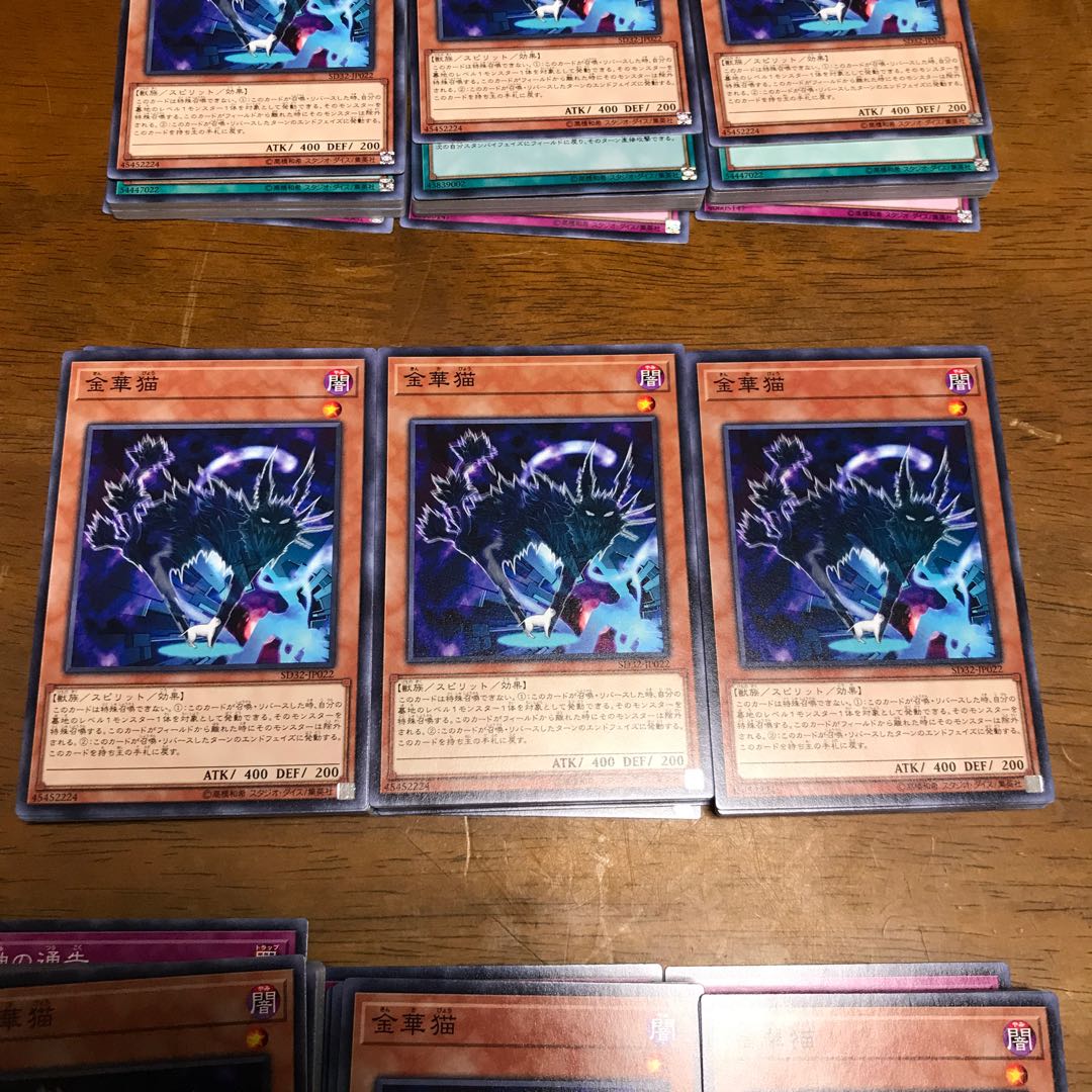 遊戯王 金華猫 3枚