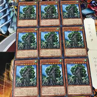 森羅の賢樹 シャーマン PRIO 4 レア 9枚セット てら