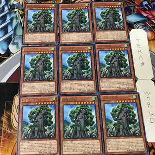 森羅の賢樹 シャーマン PRIO 5 レア 9枚セット てら