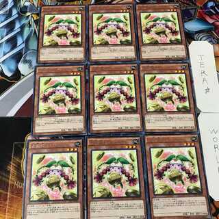 Prediction Princess Coinorma CPD1 2 Rare Set of 9 Tera