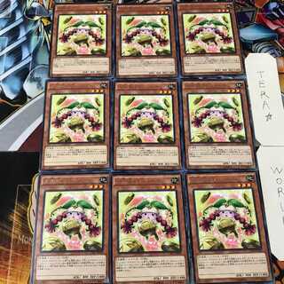 Prediction Princess Coinorma CPD1 3 Rare Set of 9 Tera