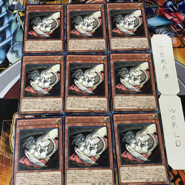 Buster Whelp of the Destruction Swordsman BOSH 4 Rare Set of 9 Terra