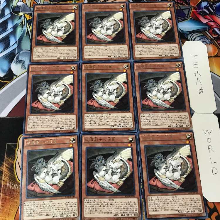 Buster Whelp of the Destruction Swordsman BOSH 5 Rare Set of 9 Terra