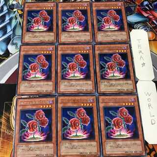 返り咲く薔薇の大輪 TSHD 4 レア 9枚セット てら