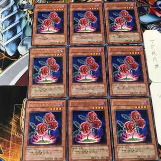 返り咲く薔薇の大輪 TSHD 5 レア 9枚セット てら