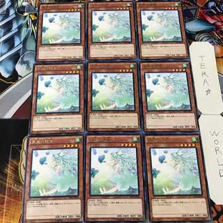 裏風の精霊 SHVI 5 レア 9枚セット てら