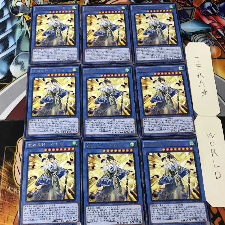 霊魂鳥神-彦孔雀- RATE 4 レア 9枚セット てら