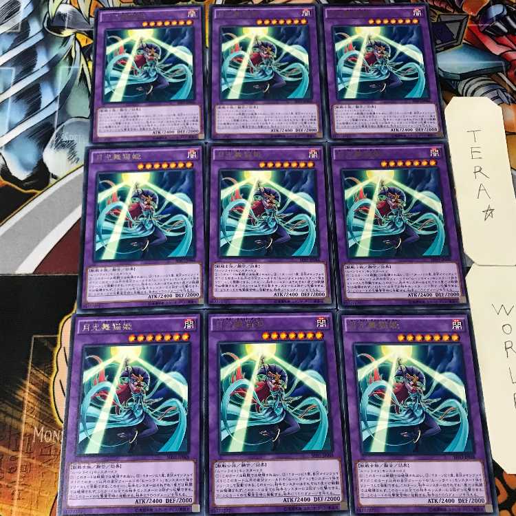 月光舞猫姫 SHVI 4 レア 9枚セット てら