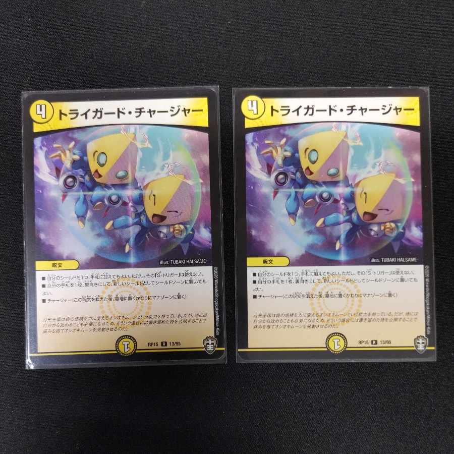 Triguard Charger R 13/95