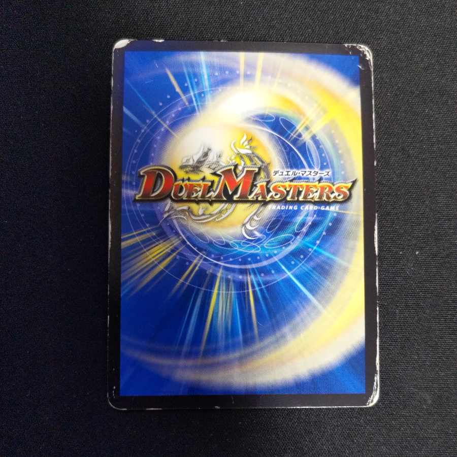 百族の長 プチョヘンザ LEG L1/L2