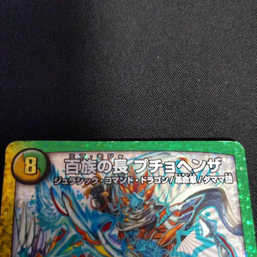 百族の長 プチョヘンザ LEG L1/L2