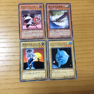 動物・魚 4点セット