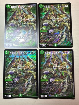 森夢龍 フィオナ・フォレスト SR S16/S20