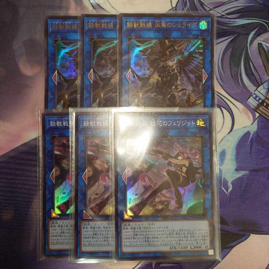 Tetsujyu Senzensen Wesen Tori no Shraigu Cliqueka no Feridit Set