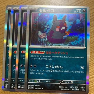 モルペコ R 051/066 4枚