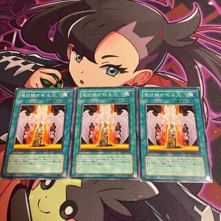 受け継がれる力 ノーマル JP219 1枚