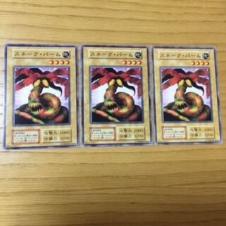 スネーク・パーム 3点セット