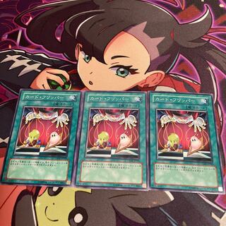 カード・フリッパー ノーマル JP045