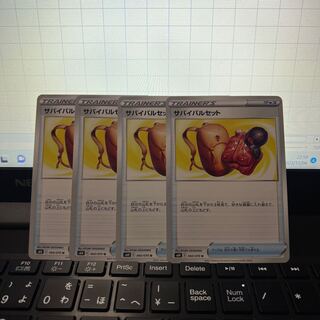 Survival set U 060/070